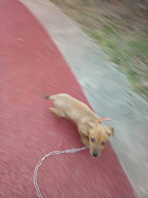 �ҵĶ�಻���ˣ������İ���ϣ������������