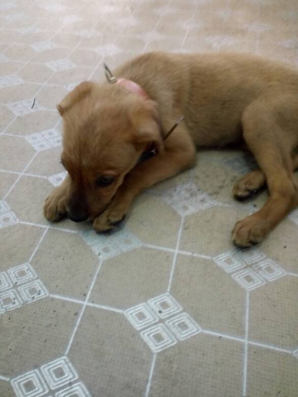 �ҵĶ�಻���ˣ������İ���ϣ������������