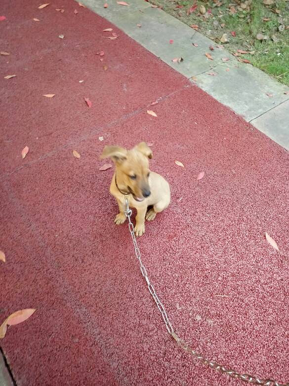 �ҵĶ�಻���ˣ������İ���ϣ������������