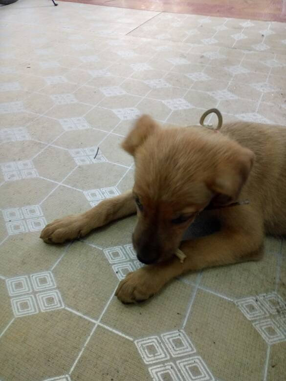 �ҵĶ�಻���ˣ������İ���ϣ������������