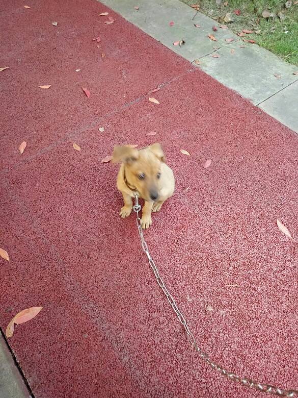 �ҵĶ�಻���ˣ������İ���ϣ������������