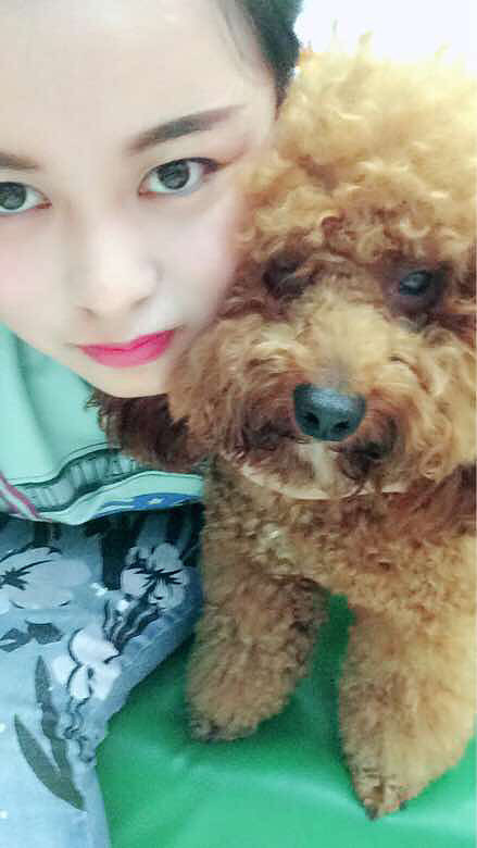 �����������������