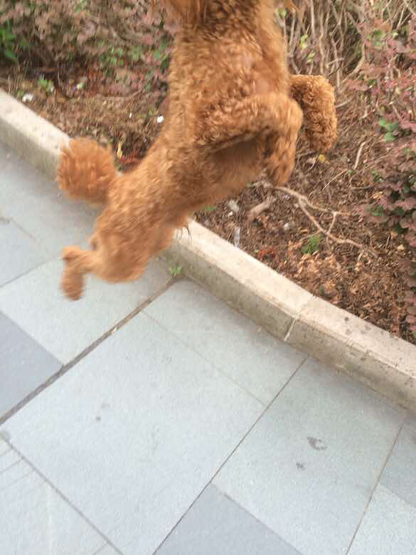������������������ߣ���һȦ������