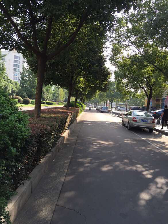 ���ֵ���Ⱥ��ӵ�µĳ�����������ϰ����ȷ