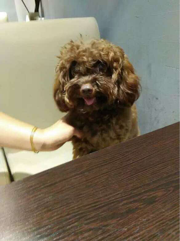 �Լ����Ĺ��������2��2ĸ������9��3��