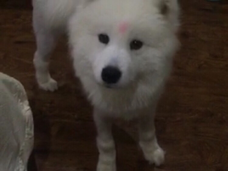 9��7���賿���ĵ��ڻ��һ�ͥ����Ƶ긽��