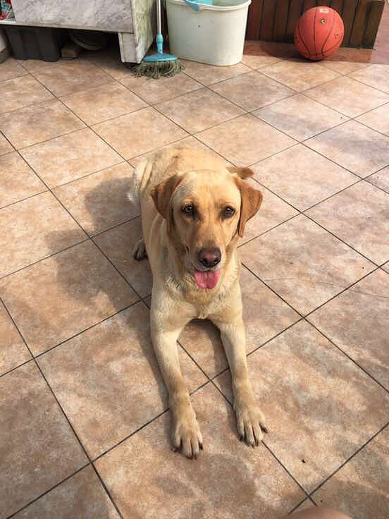 ����������ˮ������һ�θ�����