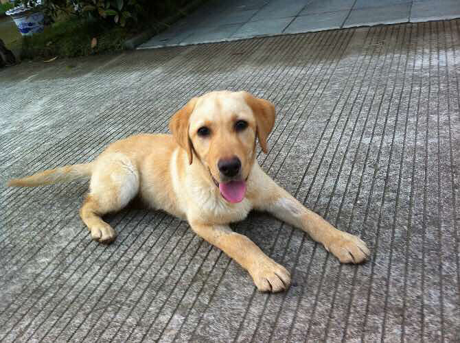 世事漫随流水,算来一梦浮生。