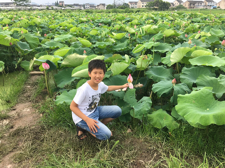 ��Ҫ��������