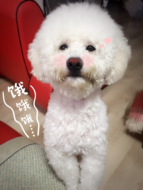 ��������������ţ�⣡