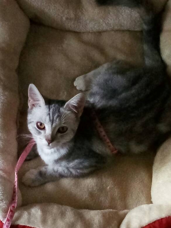 �Ҿ�����ɹ����