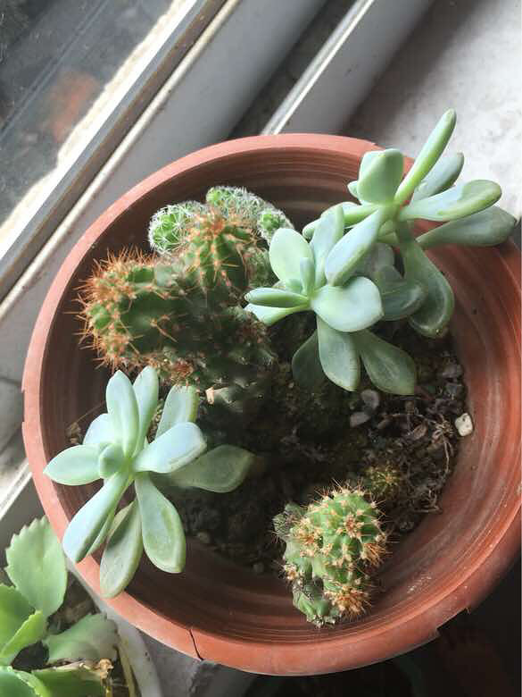 ���ҵĶ��⡿