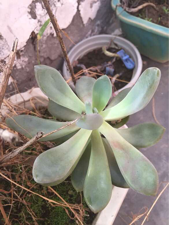 ���ҵĶ��⡿