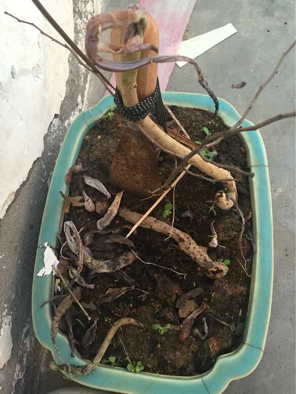 ���ҵĶ��⡿