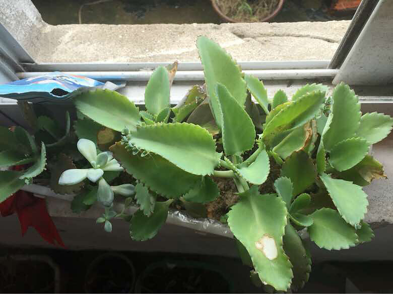 ���ҵĶ��⡿