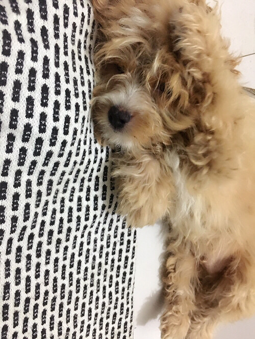 �������������Ե��