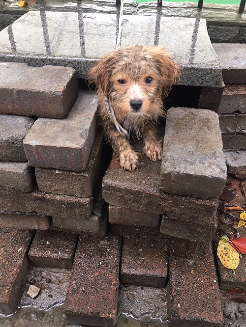 �������������Ե��