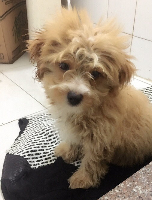 �������������Ե��