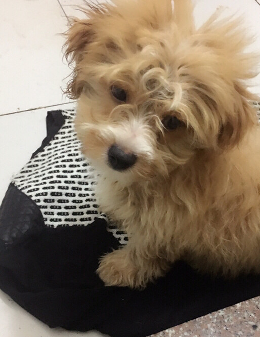 �������������Ե��