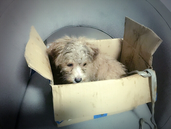 �������������Ե��