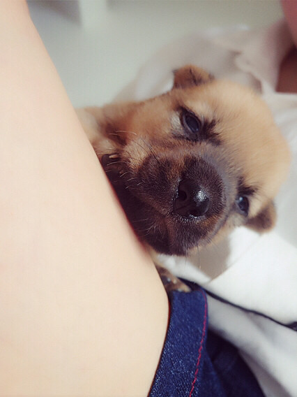 ����Ҳ�ǿ��Ժܿɰ���