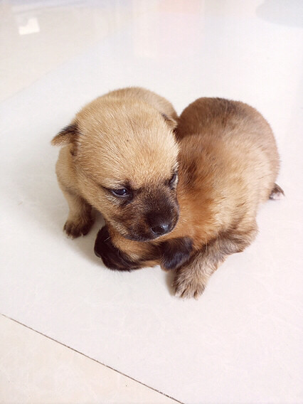 ����Ҳ�ǿ��Ժܿɰ���