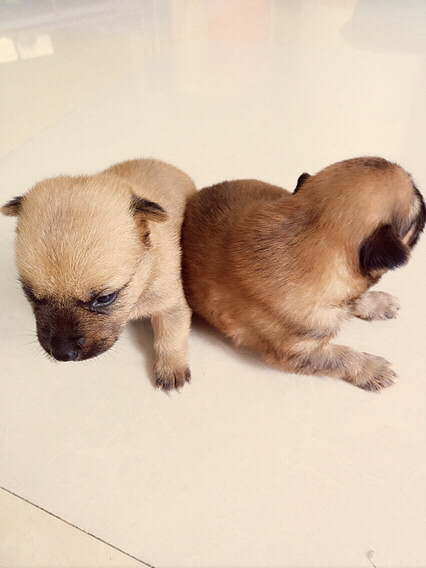 ����Ҳ�ǿ��Ժܿɰ���