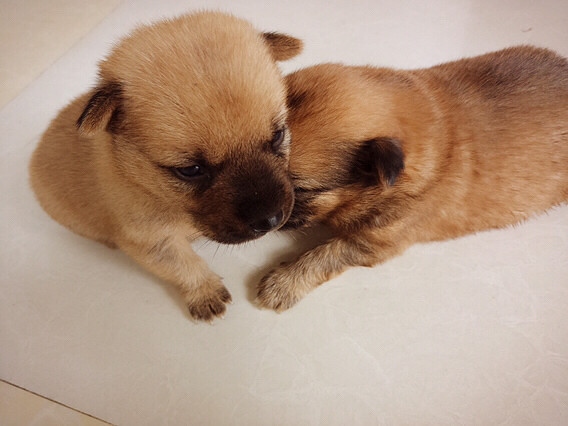 ����Ҳ�ǿ��Ժܿɰ���