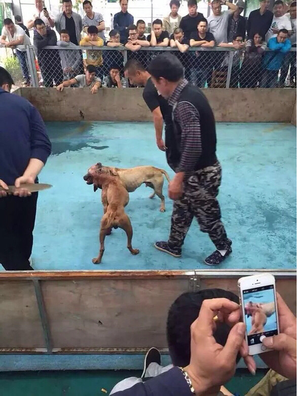 �������ص���һ������