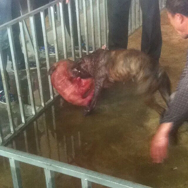 �������ص���һ������