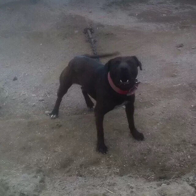 �������ص���һ������