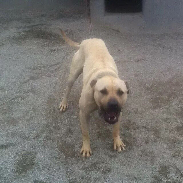 �������ص���һ������