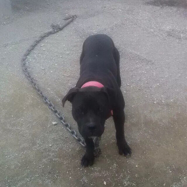 �������ص���һ������