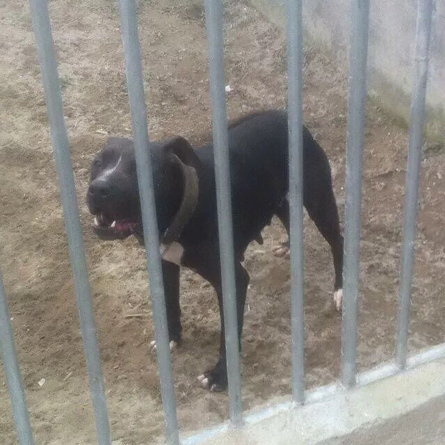 �������ص���һ������