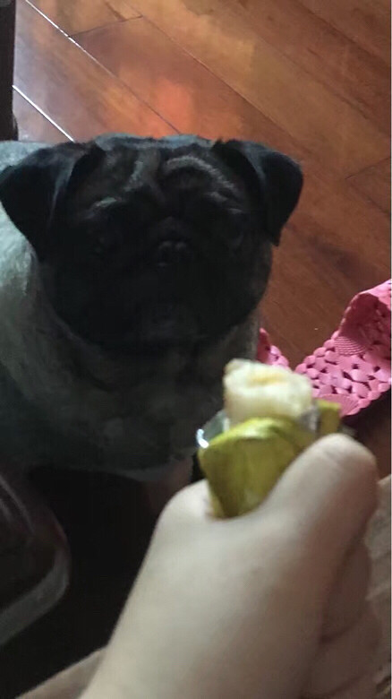 �������ˡ���ʳ���ٻ��ң�