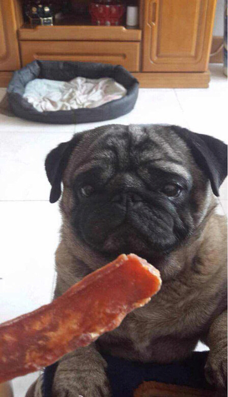 �������ˡ���ʳ���ٻ��ң�