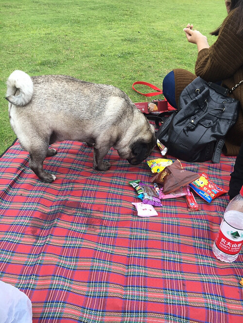 �������ˡ���ʳ���ٻ��ң�