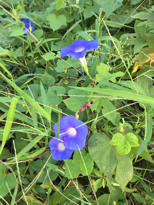 ���϶�����ʱ�򿴼���