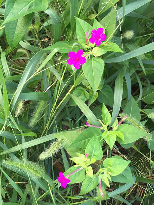 ���϶�����ʱ�򿴼���