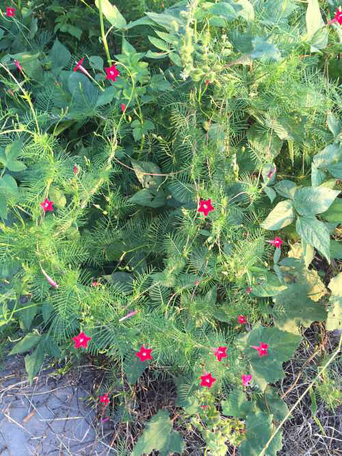 ���϶�����ʱ�򿴼���