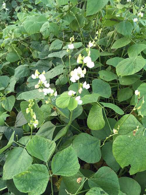 ���϶�����ʱ�򿴼���