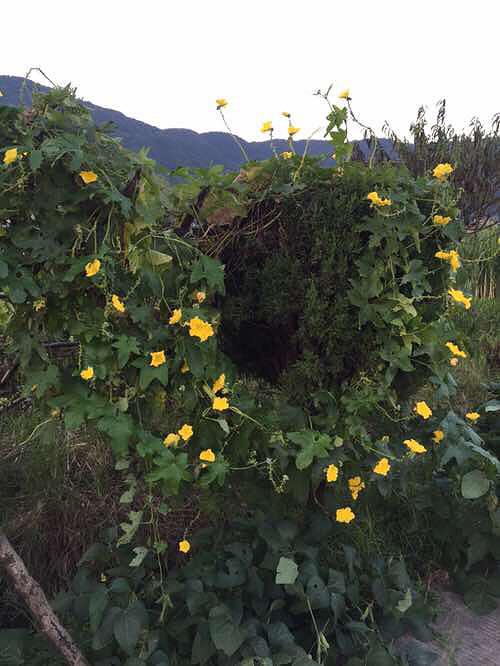 ���϶�����ʱ�򿴼���