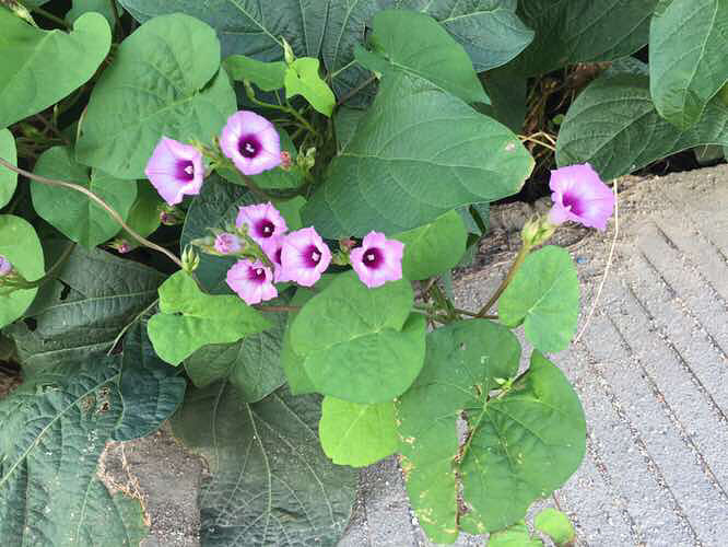 ���϶�����ʱ�򿴼���