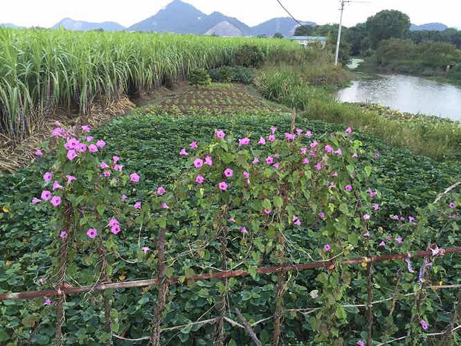 ���϶�����ʱ�򿴼���