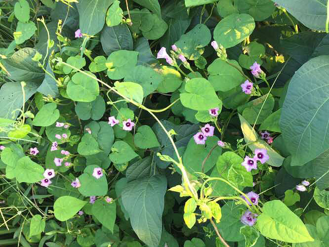 ���϶�����ʱ�򿴼���