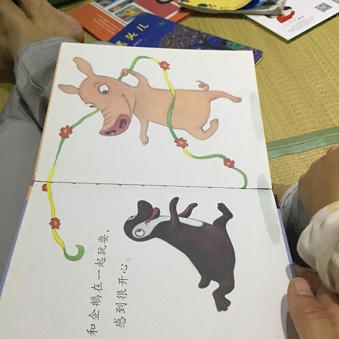 ���汾��5�ڡ�����������