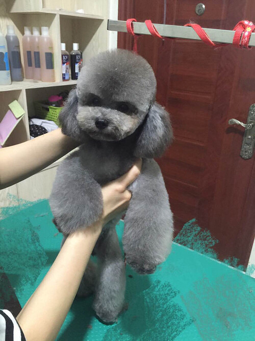 ����Ҫ��ɫ̩����