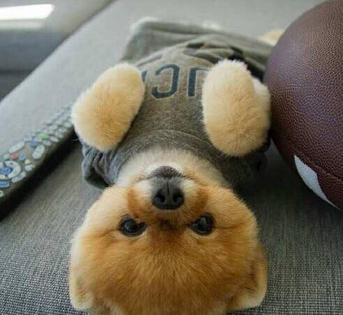 ������ô�ȣ�