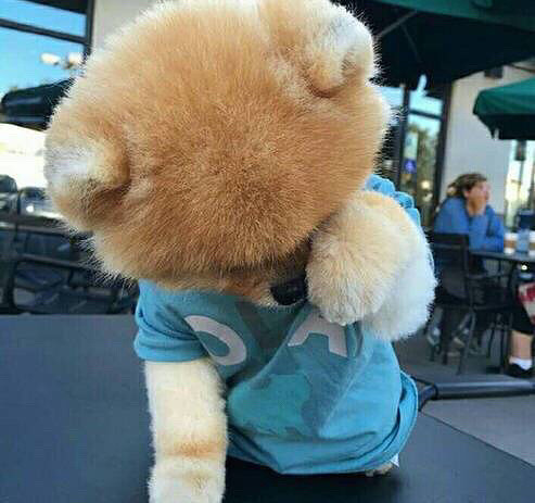 ������ô�ȣ�