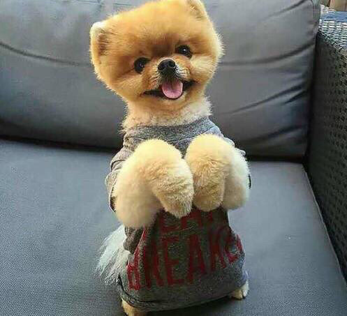 ������ô�ȣ�